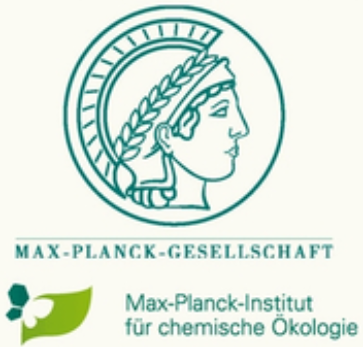 MPI Logo