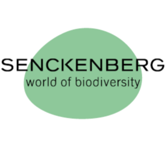 SM Logo