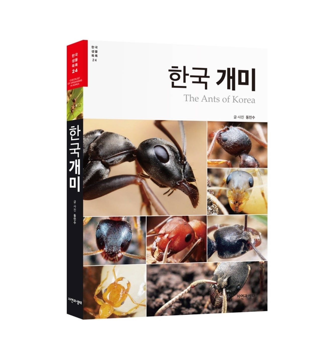 Featured Book