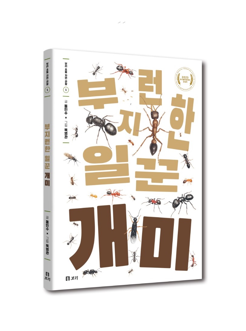 Book 3